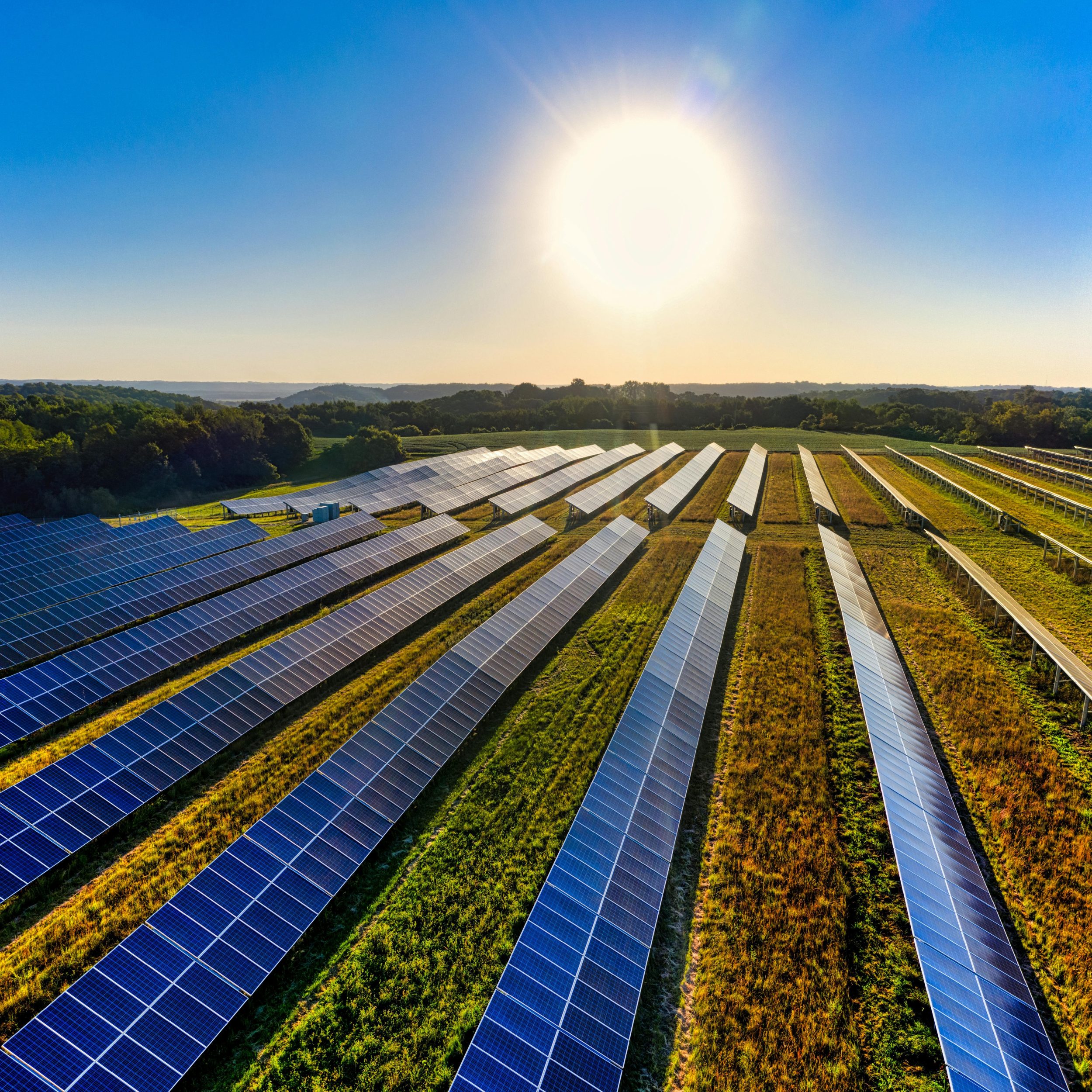 solar-farm